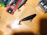 Про флюр и поводок у камней, зубы и рельеф и что лучше взять