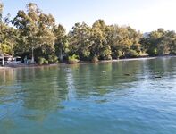 Левый пирс отеля, Анталийское побережье: сибас и выходы лихии утром