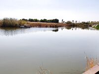 Морская рыбалка в Crystal Paraiso Verde: рукав Кепрючай и ПивСад