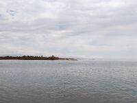 Морская рыбалка на реке Кепрючай: мощная тяга и джиг на белый силикон