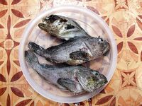 Горбыль с берега — удача, скорпена ночью чаще: ловля на отводной