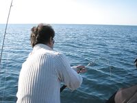 Большой Утриш: пёстрый улов и бесконечный ночной ерш