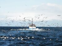 «Вот так вот»: завершение серии снимков