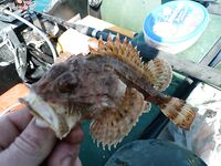 Вчерашний выезд: планы сорвались — дочка приболела