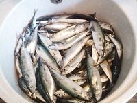 Очередной выход в море: пиламида в активе