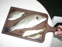 Абхазия в сентябре: волны, мидия и креветка, скорпена ночью — осторожно