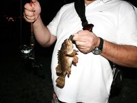 Ночная «роща»: после полуночи рыба с каждой проводки — обследовали акваторию