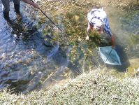 Абхазия: караси у волнорезов весь день, рапан — крупняк, насадки разные