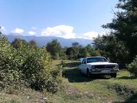 Абхазия: караси у волнорезов весь день, рапан — крупняк, насадки разные