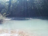 Абхазия: караси у волнорезов весь день, рапан — крупняк, насадки разные