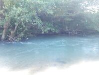 Абхазия: караси у волнорезов весь день, рапан — крупняк, насадки разные