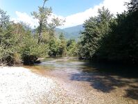 Абхазия: караси у волнорезов весь день, рапан — крупняк, насадки разные