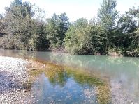 Абхазия: караси у волнорезов весь день, рапан — крупняк, насадки разные