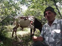 Абхазия: караси у волнорезов весь день, рапан — крупняк, насадки разные