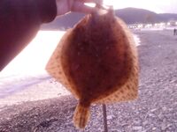 Фото с морской рыбалки: оперативные кадры с борта