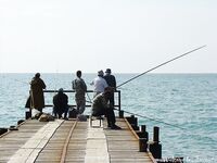 Анапа, спокойная погода: клюёт всегда — гарбыль, бобырь, ёрш