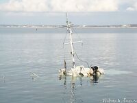 Анапа, спокойная погода: клюёт всегда — гарбыль, бобырь, ёрш