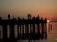 Анапа, спокойная погода: клюёт всегда — гарбыль, бобырь, ёрш