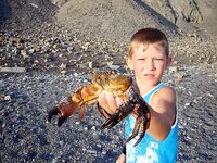 Анапа, спокойная погода: клюёт всегда — гарбыль, бобырь, ёрш