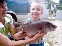 Горбыль за десять минут: впервые ушла на морскую рыбалку и потянула «слона»