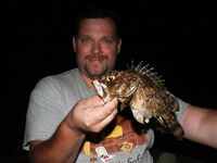 Скорпена-«директор»: попадаются солидные экземпляры — осторожность обязательна