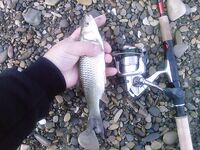 Архипо-Осиповка — луфарь среди купающихся, скорпены мало, бычки и ставридка стабильно