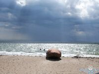 Коса Тузла, керченский пролив — август: ловили неплохо, готовим фильм и фото