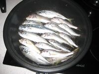 Абхазия, недалеко от Пицунды — лето 2012: ловилось с пирса и с лодки на самодур