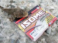 Опознание наживки — те ли это черви: уточнение по виду для правильной снасти