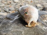 Фотоотчет: как оно было — снасти, берег и результат без лишних слов и цифр