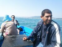 Лодка и бычки на мидию — коротко о главном, когда сын пролил масло на клаву