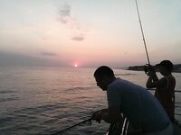 Дивноморск, 9–16 августа — кефаль на сбиро и червя, ставка на ставриду с катера