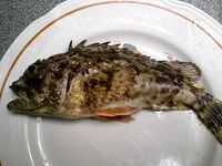 Небуг, 5–17 сентября — поплавок слаб, закидушка тащит: горбыль, барабуля, пескарь