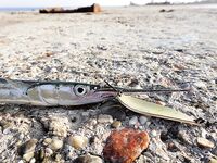 Черное море: фотохроника последнего месяца — разные виды, разный берег и погода