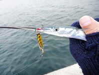 Черное море: фотохроника последнего месяца — разные виды, разный берег и погода