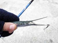 Черное море: фотохроника последнего месяца — разные виды, разный берег и погода