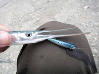 Черное море: фотохроника последнего месяца — разные виды, разный берег и погода