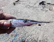 Черное море: фотохроника последнего месяца — разные виды, разный берег и погода