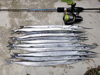 Еще фото с последнего выезда — сравнение по размеру и свету на сумеречной кромке