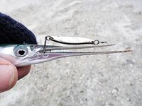 Еще фото с последнего выезда — сравнение по размеру и свету на сумеречной кромке