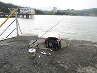 Абхазия, Сухуми — дебют на пирсе: ставрида ночью с подсадкой, днем волна мешает