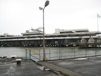 Абхазия, Сухуми — дебют на пирсе: ставрида ночью с подсадкой, днем волна мешает