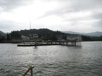 Абхазия, Сухуми — дебют на пирсе: ставрида ночью с подсадкой, днем волна мешает