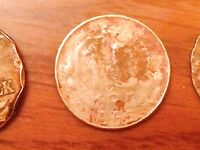 Сочи, Дагомыс — «собачка» и «корова», ветер с Абхазии сбивает клев, монетки на пляже