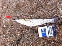 Благовещенская: семейный отдых и свежая рыбка — небольшой фотоотчёт