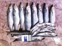 Благовещенская: семейный отдых и свежая рыбка — небольшой фотоотчёт