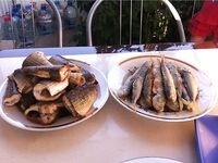 Благовещенская: семейный отдых и свежая рыбка — небольшой фотоотчёт