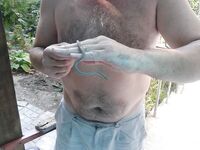 Хутор Джанхот: фидер без кормушки, «стрелка», креветка и мясо