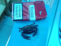 Хутор Джанхот: фидер без кормушки, «стрелка», креветка и мясо