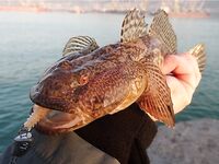 Совет по фото трофеев: как кадрировать, чтобы смотреть приятнее